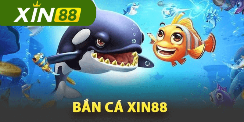 bắn cá xin88